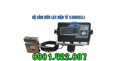 Bộ cảm biến lực điện tử