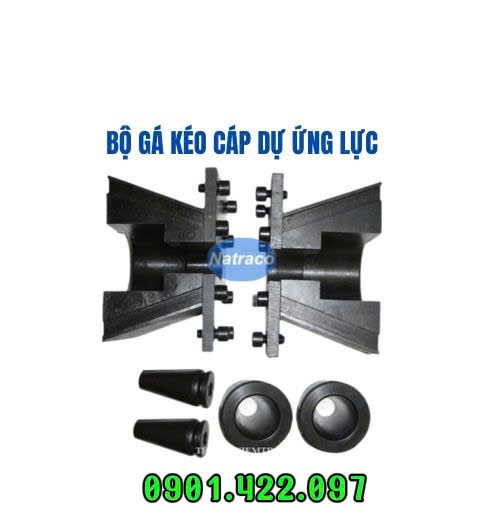 Bộ gá kéo cáp dự ứng lực