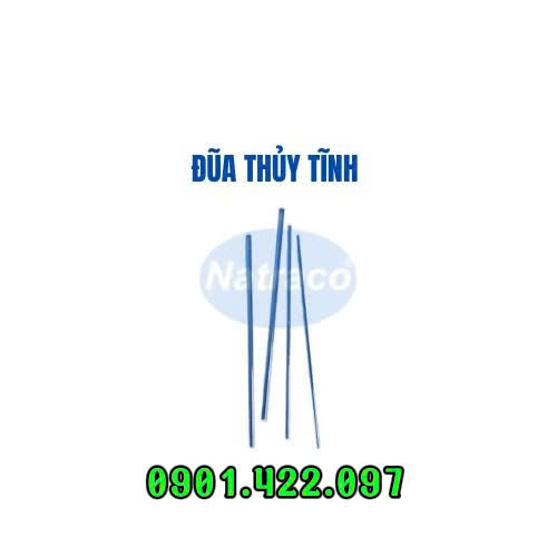 Đũa thủy tĩnh