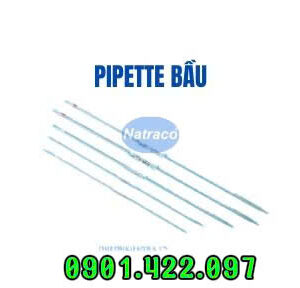 Pipette bầu