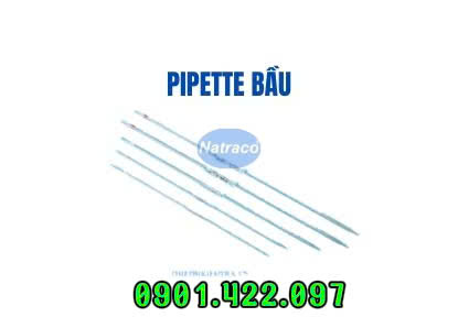Pipette bầu